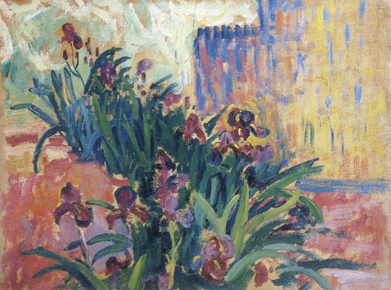 Paul Signac irises Germany oil painting art